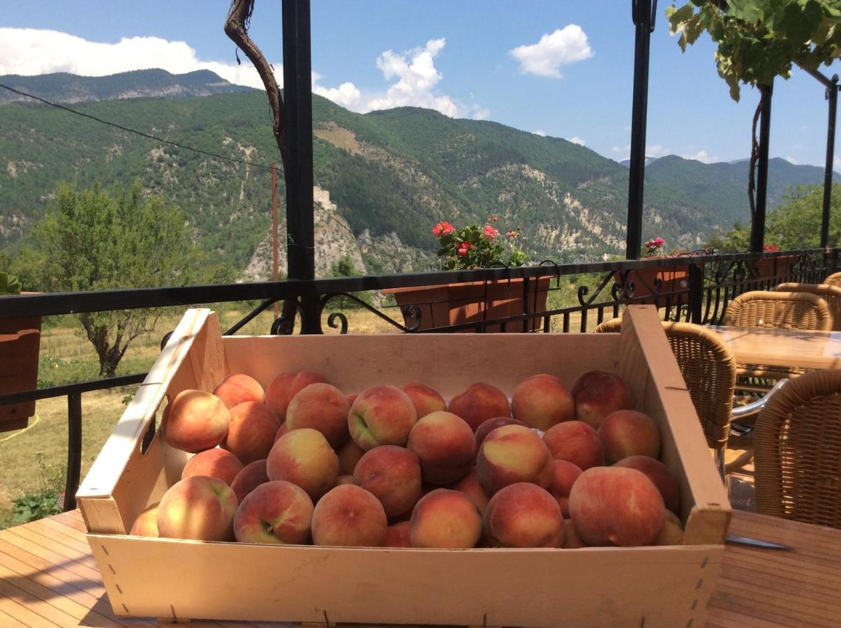 Hotel Clot De Felines Chambre Spacieuse Entrevaux Zewnętrze zdjęcie